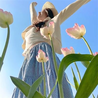 热带往事